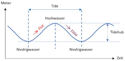 gezeiten fisch